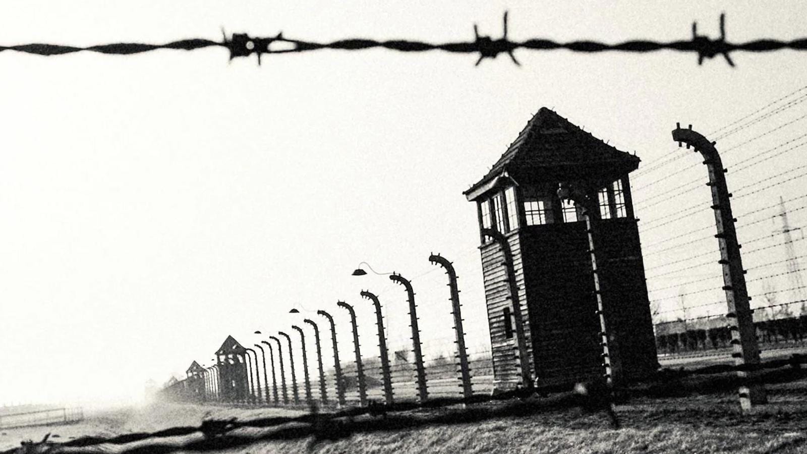 Rai Cultura verso il Giorno della Memoria - RAI Ufficio Stampa